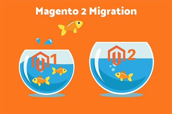 Magento 1 to Magento 2 Migration